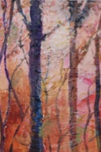Magical Forest