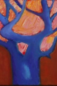 Tree With the Sky in Her Arms
